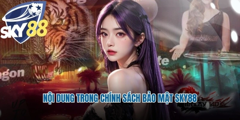 Nội dung trong chính sách bảo mật Sky88