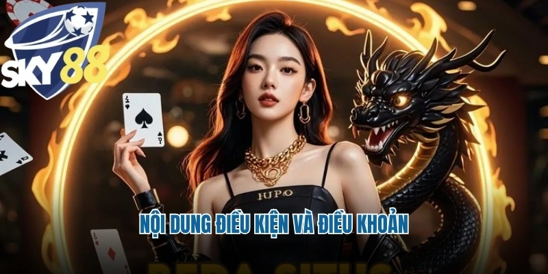 Nội dung điều kiện và điều khoản