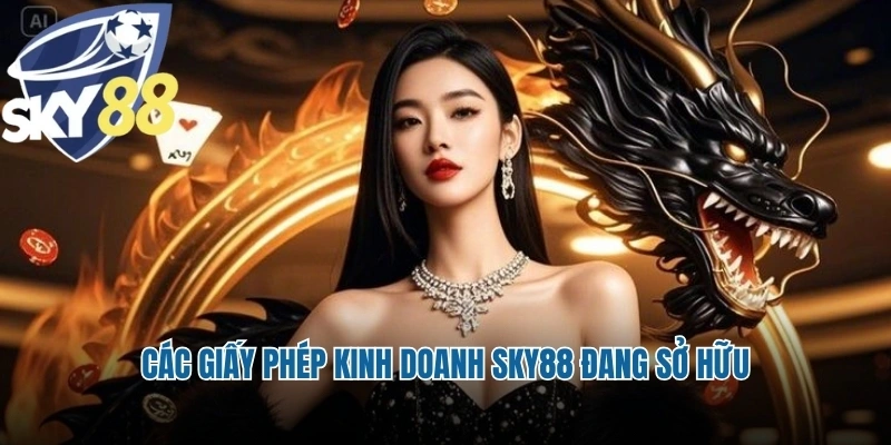 Các giấy phép kinh doanh Sky88 đang sở hữu